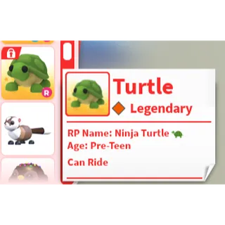 R Turtle