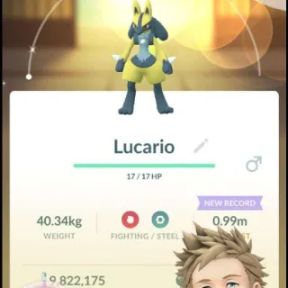 POKEMON GO LUCARIO PERFECT IV x2 Possible Shiny