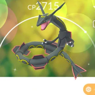 POGO 2019 SHINY RAYQUAZA