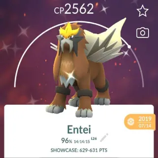 2019 POGO SHINY ENTEI