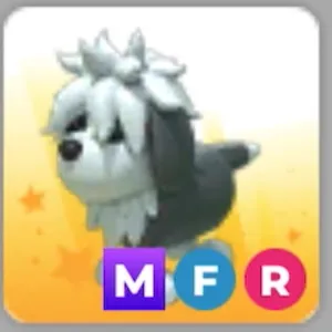 MFR English Sheepdog