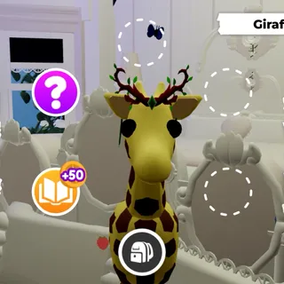 FR Giraffe