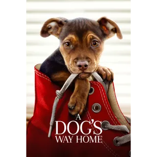 A Dog's Way Home HD - Redeem on VUDU or Movies Anywhere