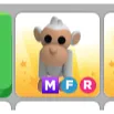 mfr albino monkey