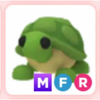 mfr Turtle