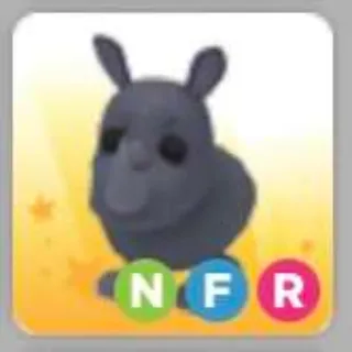 Pet | nfr rhino