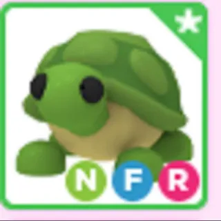 NFR Turtle