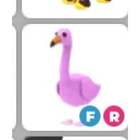 fr flamingo