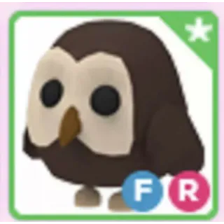 FR owl