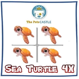Sea Turtle 