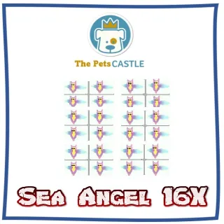 Sea Angel 16X