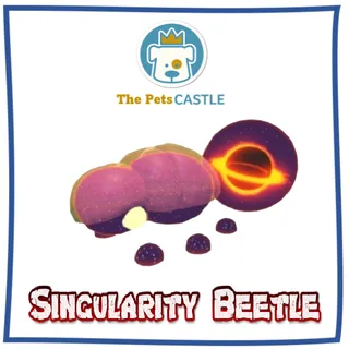 Singularity Beetle