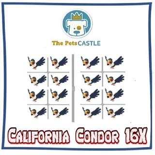 California Condor