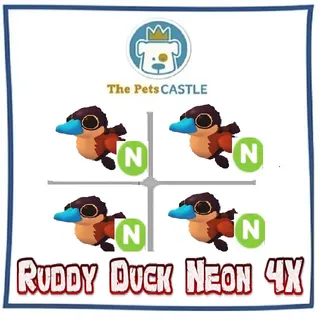 Ruddy Duck Neon 