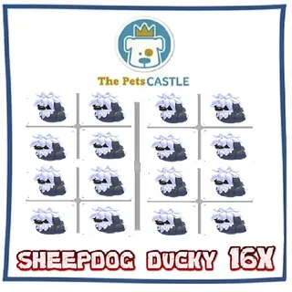 Sheepdog Ducky