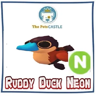 Ruddy Duck Neon