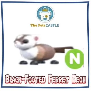 Black-Footed Ferret Neon
