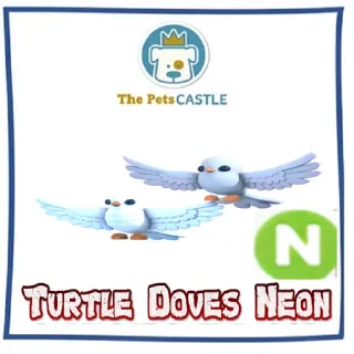 Turtle Doves Neon