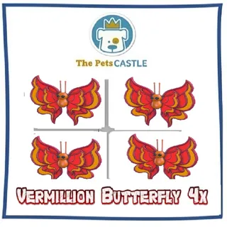 vermillion butterfly
