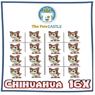 Chihuahua 16X