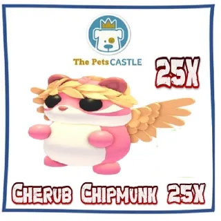 Cherub Chipmunk 25X