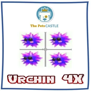 Urchin 4X