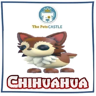 Chihuahua