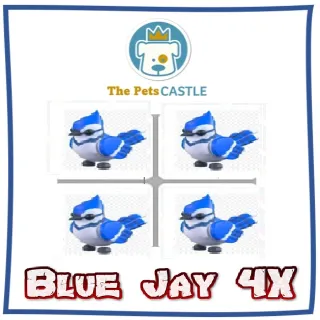 Blue Jay 4X