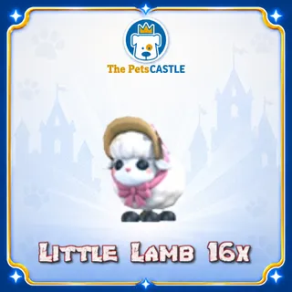 Little Lamb 16X