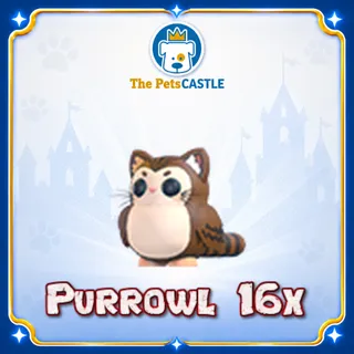 Purrowl 16X