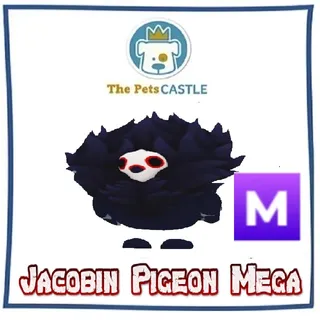 Jacobin Pigeon Mega