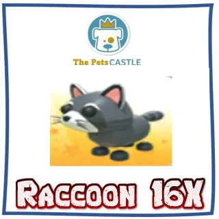 Raccoon 16X