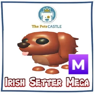 Irish Setter Mega