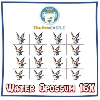 Water Opossum