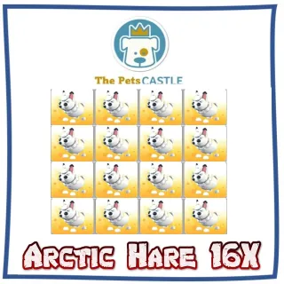 Arctic Hare 16X