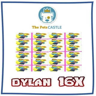 Dylan 16X