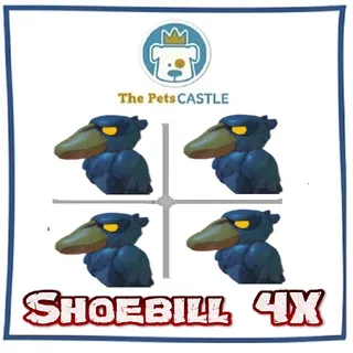Shoebill