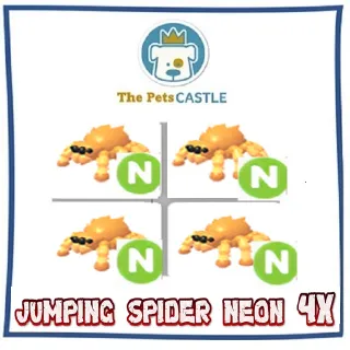 jumping spider neon