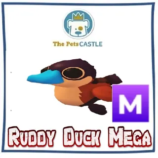 Ruddy Duck Mega