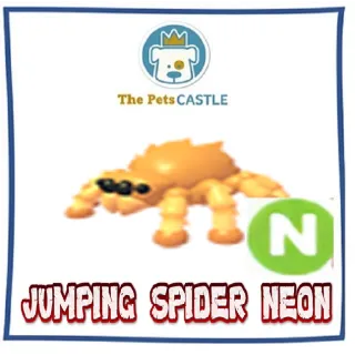 jumping spider neon