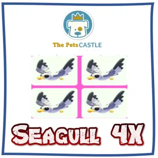 Seagull