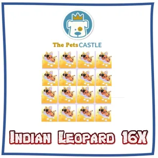 Indian Leopard 16X