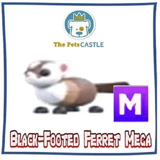 Black-Footed Ferret Mega