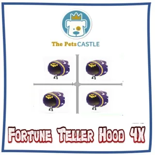 Fortune Teller Hood 4X