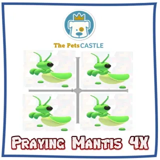 Praying Mantis 4X
