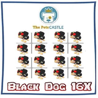 black dog