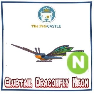Clubtail Dragonfly Neon