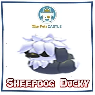 Sheepdog Ducky