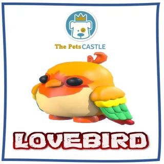 love bird