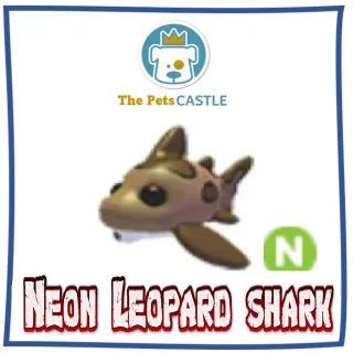 Neon Leopard shark